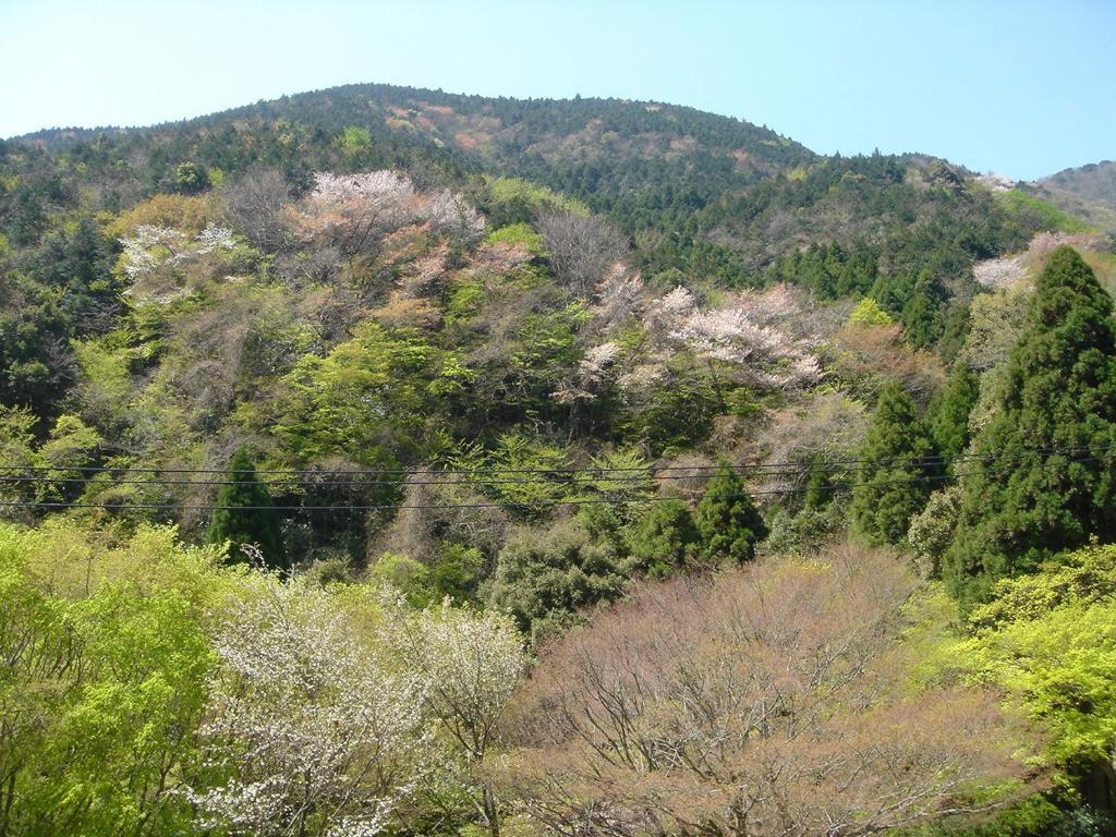 Kamata 호텔 유오가와라 외부 사진